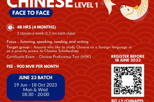 Basic Chinese (Level 1)
